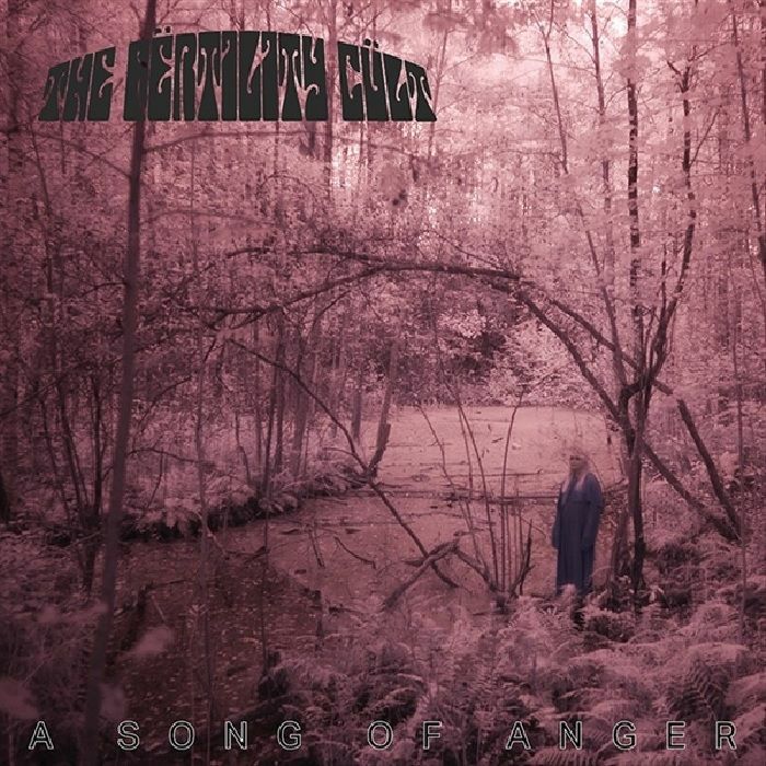 A Song Of Anger - Vinyl LP vinyl record cover
