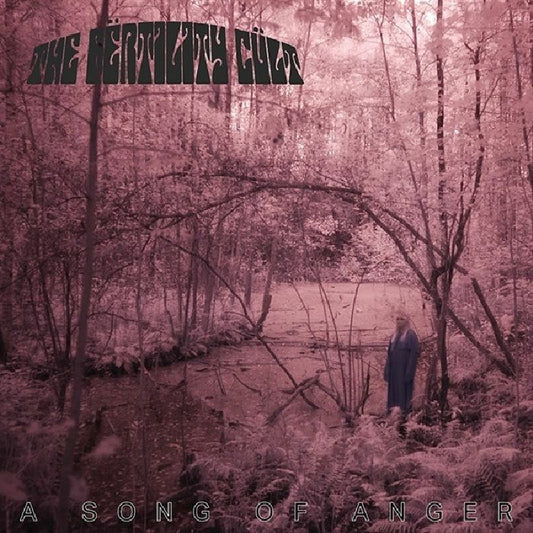A Song Of Anger - Vinyl LP vinyl record cover