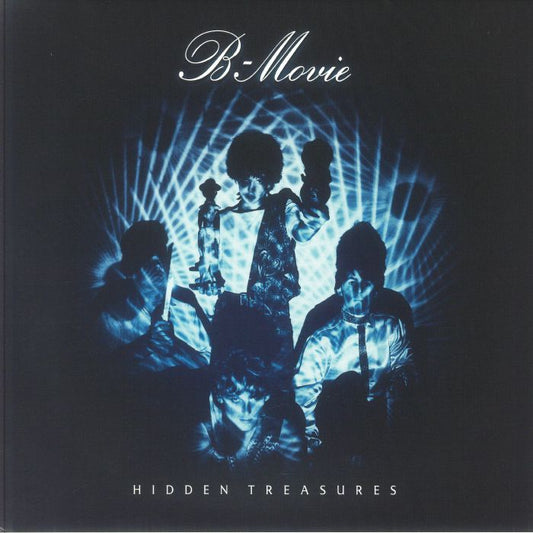 Hidden Treasures - Vinyl LP vinyl record cover