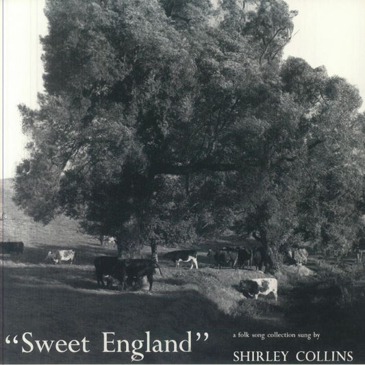 Sweet England - Limited Vinyl LP vinyl record cover