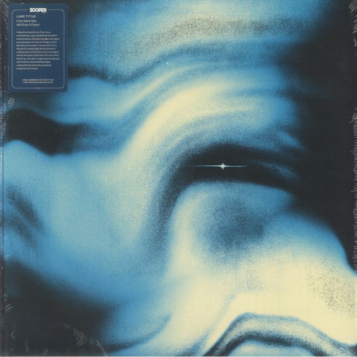 From What Was Will Grow A Flower - Vinyl LP vinyl record cover