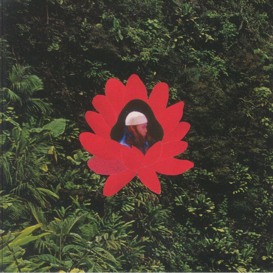 When The Flowers Bloom - Vinyl LP vinyl record cover