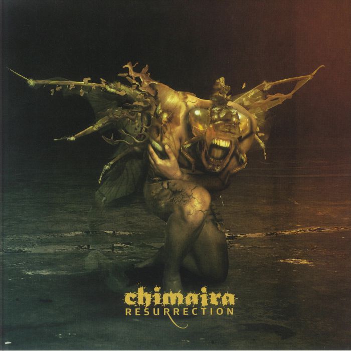 Resurrection - 2xLP vinyl record cover