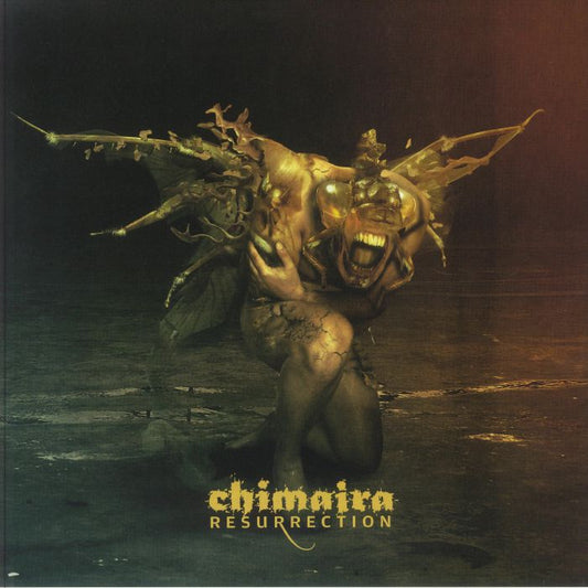 Resurrection - 2xLP vinyl record cover