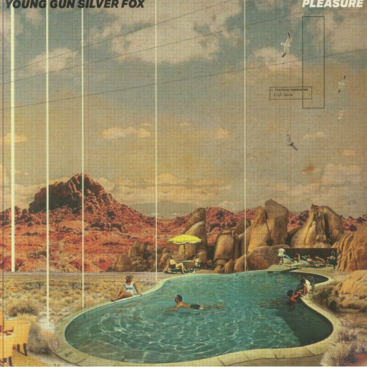 Pleasure - Vinyl LP vinyl record cover
