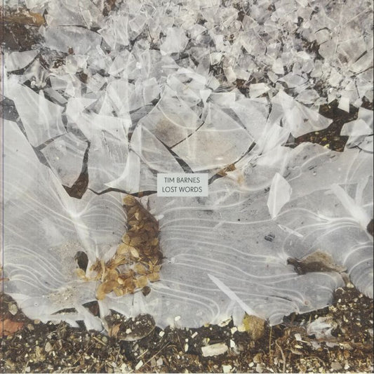 Lost Words - Vinyl LP vinyl record cover