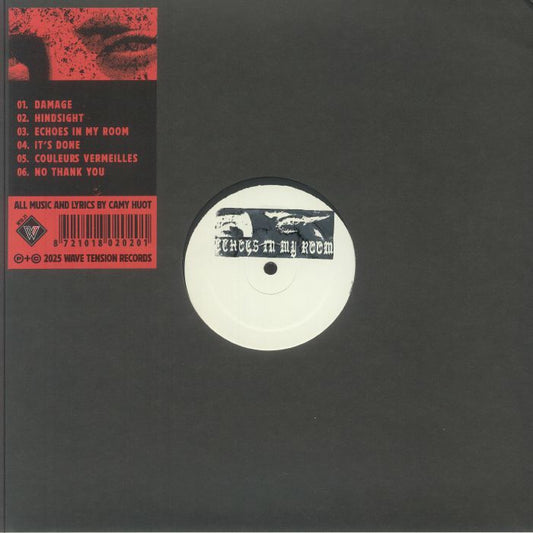 Echoes In My Room - Limited Edition Vinyl EP vinyl record cover
