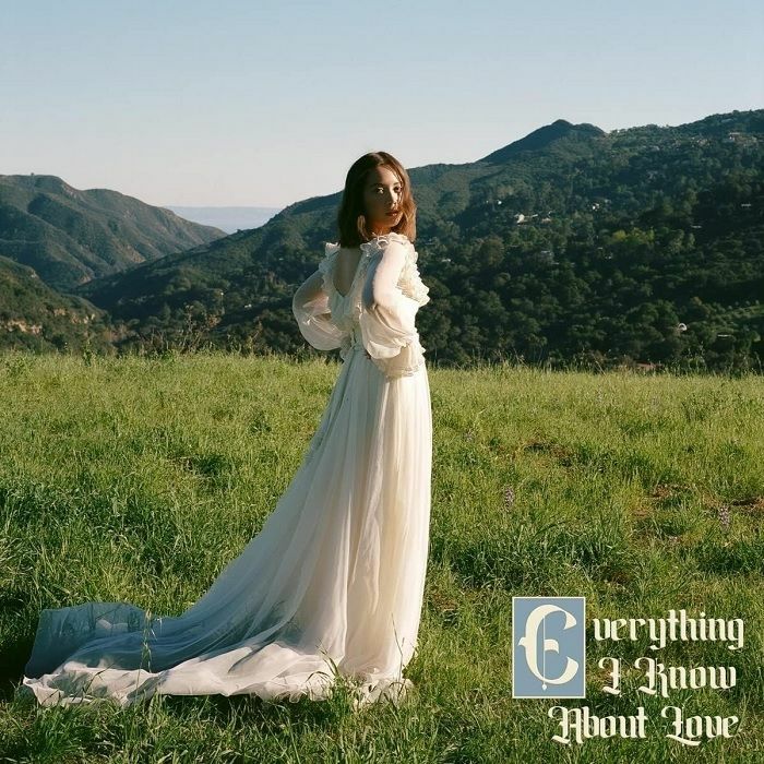 Everything I Know About Love - Vinyl LP vinyl record cover