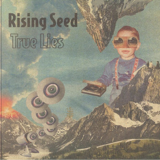 True Lies - Vinyl LP vinyl record cover