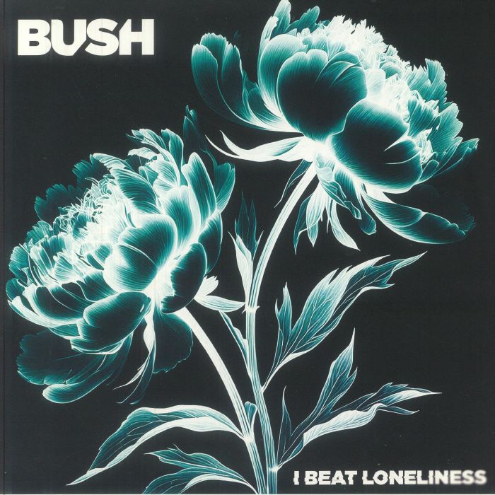 I Beat Loneliness - 2xLP vinyl record cover