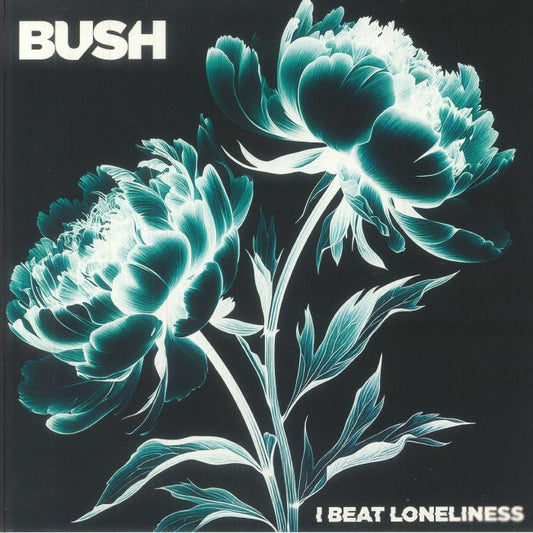 I Beat Loneliness - 2xLP vinyl record cover