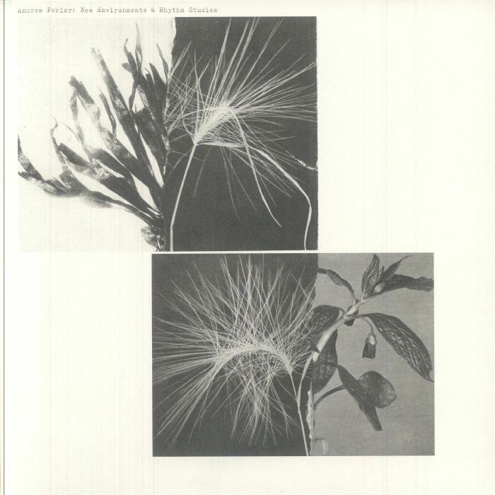 New Environments & Rhythm Studies - Limited Edition Vinyl LP vinyl record cover