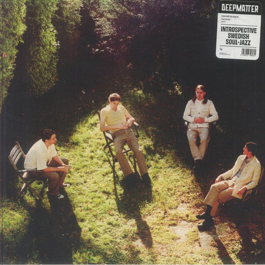 Can We Go Back - Vinyl EP vinyl record cover