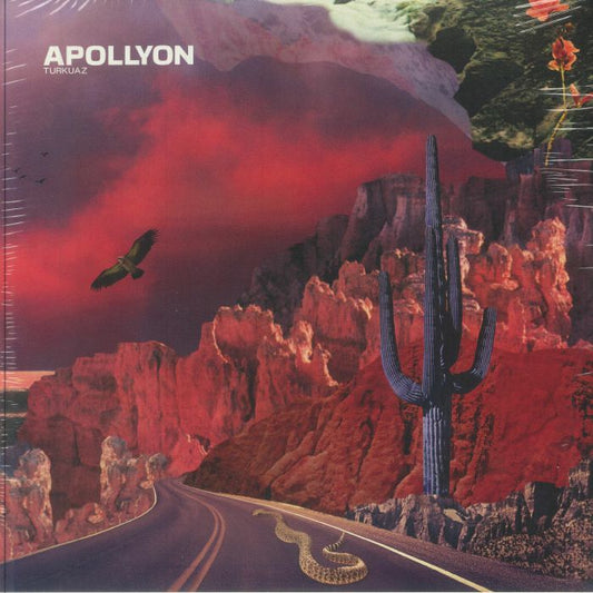 Apollyon - Vinyl 2xLP vinyl record cover