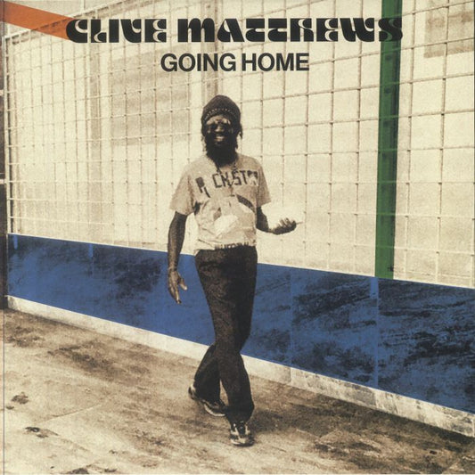 Going Home - Vinyl LP vinyl record cover