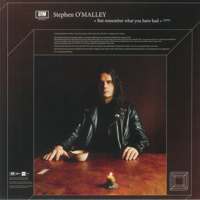 But Remember What You Have Had - Vinyl LP vinyl record cover