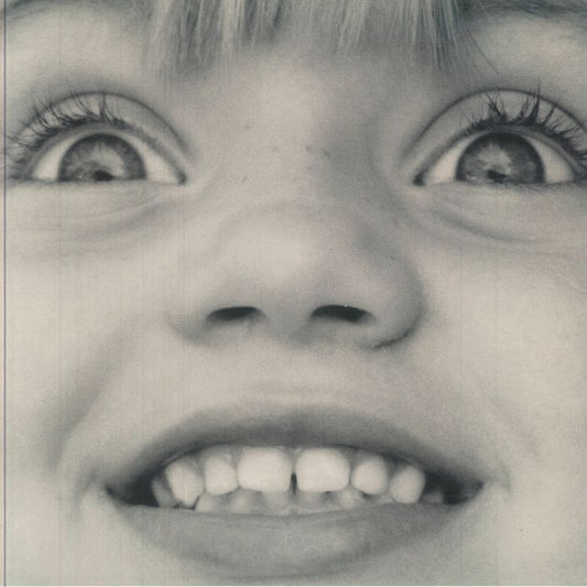 I Swear To You - Vinyl LP vinyl record cover