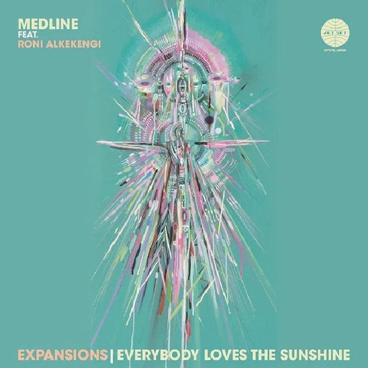 Expansions - Vinyl Single vinyl record cover