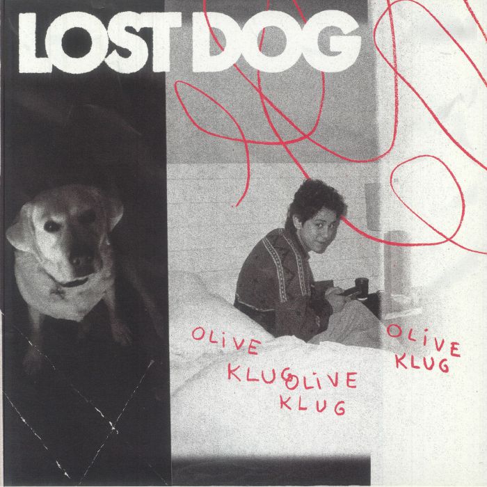 Lost Dog - Vinyl LP vinyl record cover