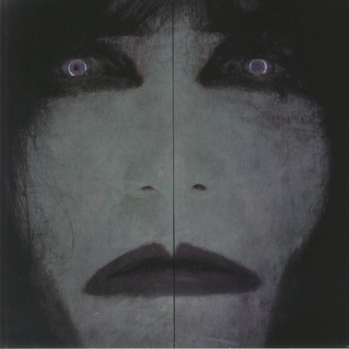 The Entity - Vinyl LP + 7" vinyl record cover