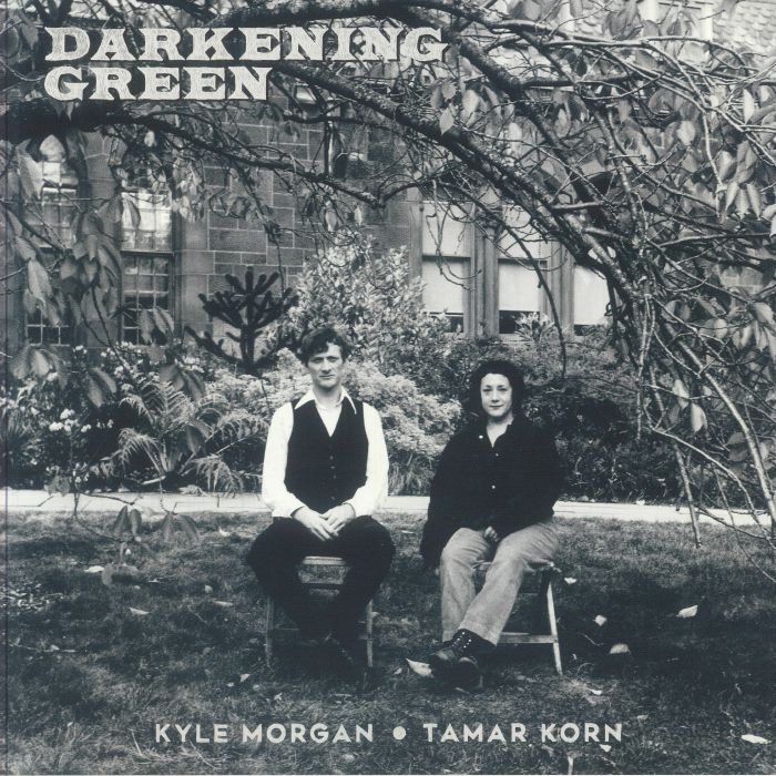 Darkening Green - Vinyl LP vinyl record cover