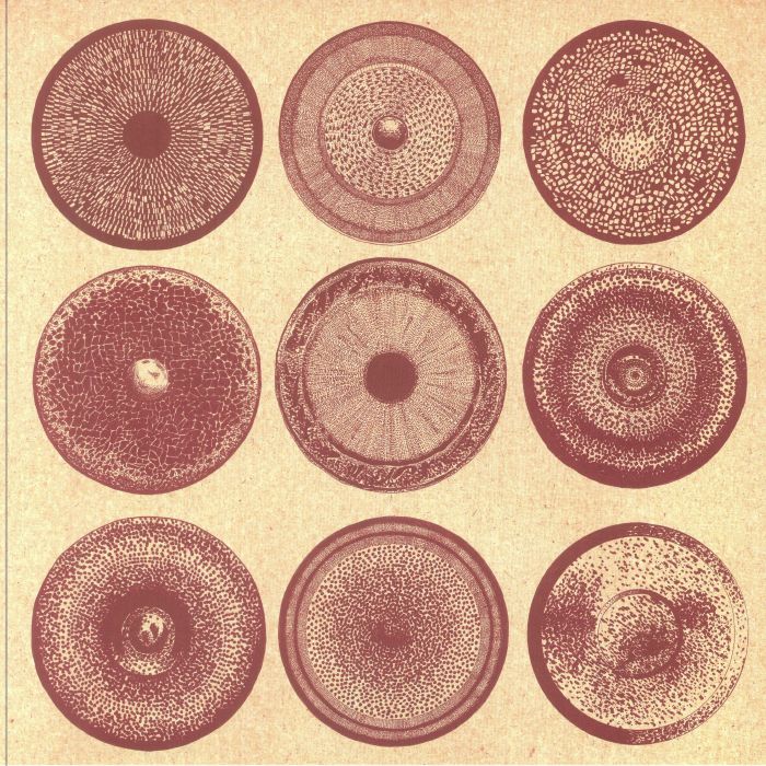 Spilla - Vinyl LP vinyl record cover