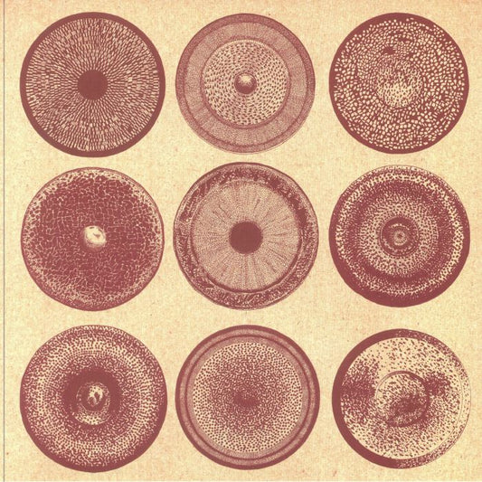 Spilla - Vinyl LP vinyl record cover
