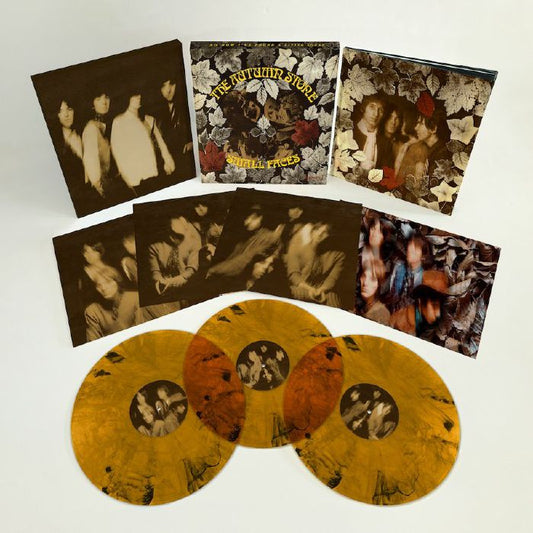The Autumn Stone - Limited Edition Coloured Vinyl 3xLP Box Set vinyl record cover
