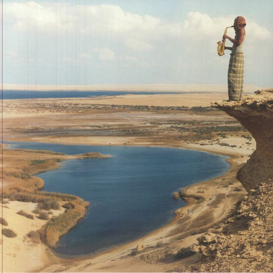 Malik - Vinyl LP vinyl record cover