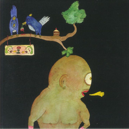 Places Of Unknowing - Vinyl LP vinyl record cover
