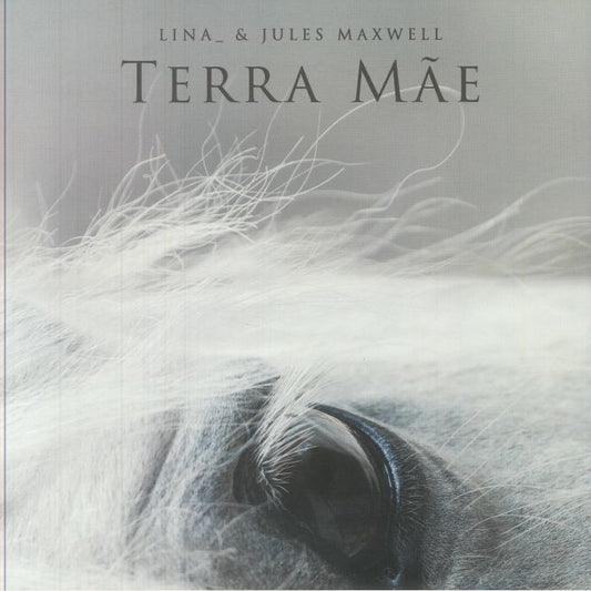 Terra Mae - Vinyl LP vinyl record cover
