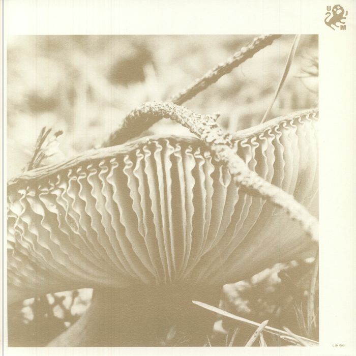 Rise & Bloom - Limited Edition Vinyl LP vinyl record cover