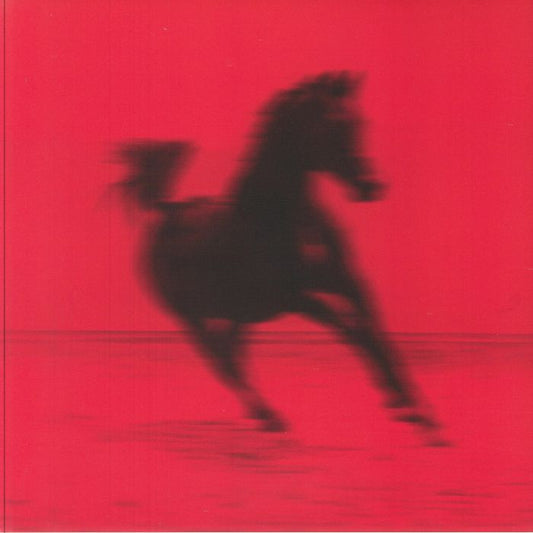 Buck - Vinyl LP vinyl record cover