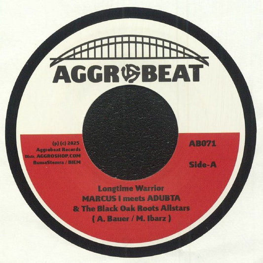 Longtime Warrior - Vinyl Single vinyl record cover
