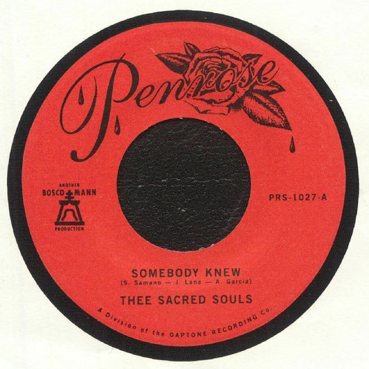 Somebody Knew - Vinyl Single vinyl record cover