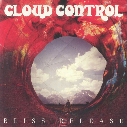 Bliss Release - 15th Anniversary Edition Vinyl LP vinyl record cover