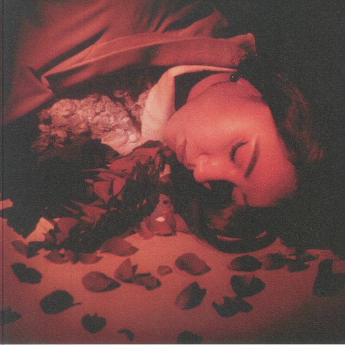 How Did We Fall So Far? - Red Vinyl LP vinyl record cover