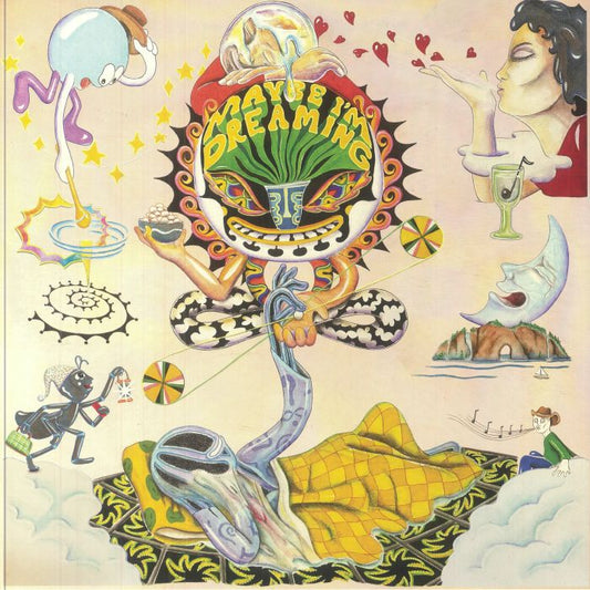 Maybe I'm Dreaming - 2xLP vinyl record cover