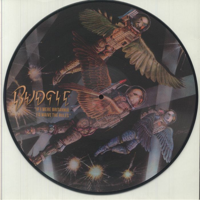 If I Were Britannia I'd Waive The Rules - Picture Disc Vinyl LP vinyl record cover