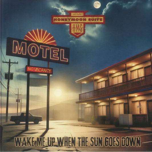 Wake Me Up When The Sun Goes Down - Vinyl LP vinyl record cover