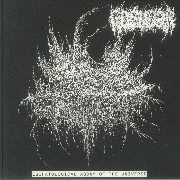 Eschatological Agony Of The Universe - Vinyl EP vinyl record cover