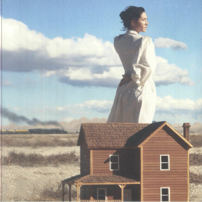 American Dust - Vinyl LP vinyl record cover