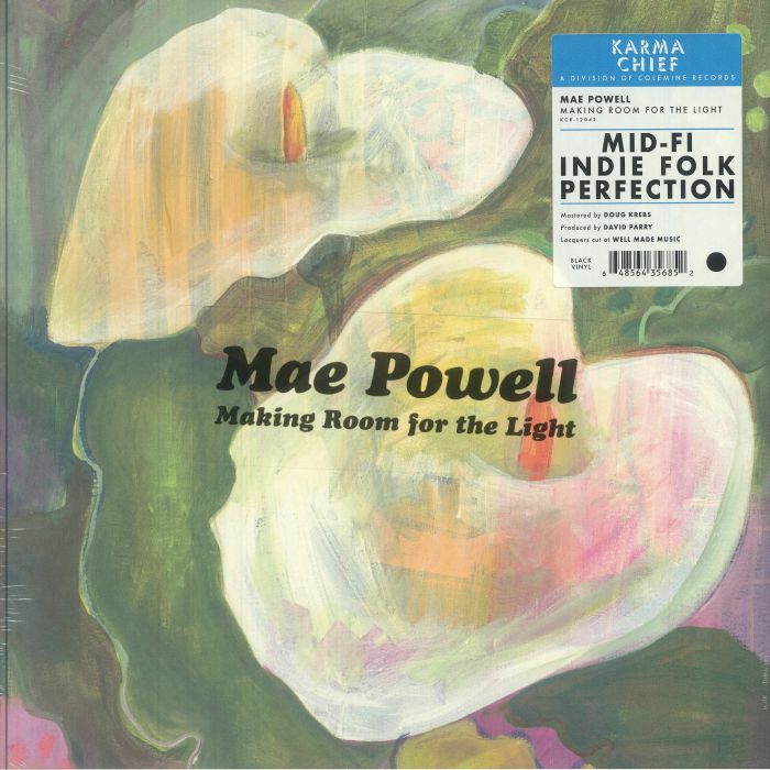 Making Room For The Light - Vinyl LP vinyl record cover