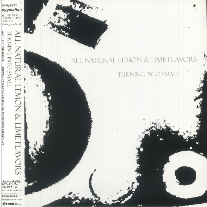 Turning Into Small - Vinyl LP vinyl record cover