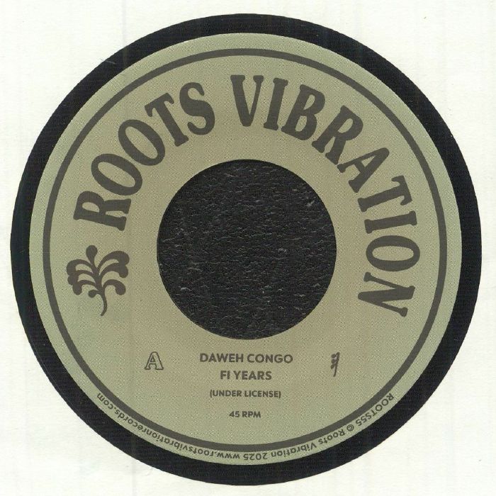 Fi Years - Vinyl Single vinyl record cover