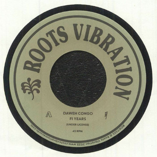 Fi Years - Vinyl Single vinyl record cover