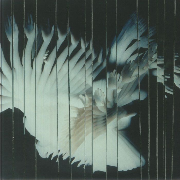 Endlessly - Vinyl LP vinyl record cover