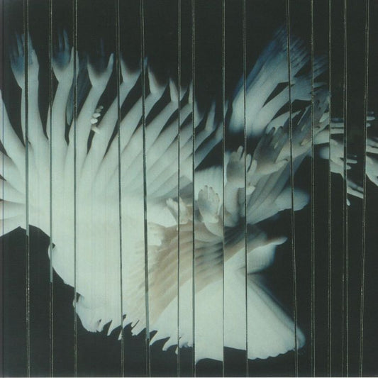 Endlessly - Vinyl LP vinyl record cover