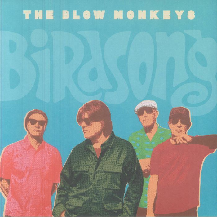 Birdsong - Vinyl LP vinyl record cover