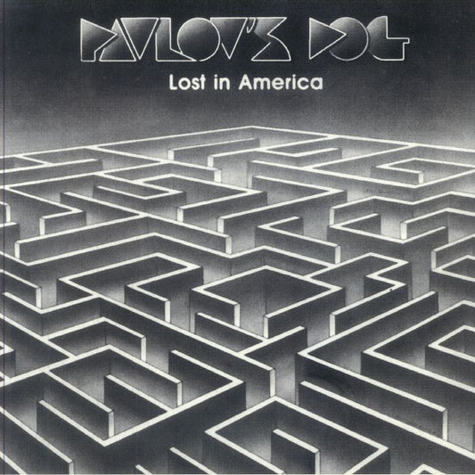 Lost In America - Clear Vinyl LP vinyl record cover